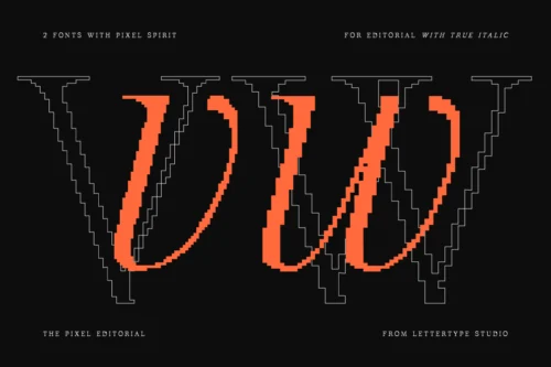 pixel-inspired-serif-letterform-detail