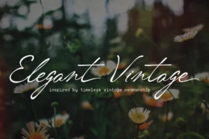 vordelina-06-vintage-botanical-script-font