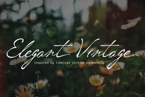 vordelina-06-vintage-botanical-script-font